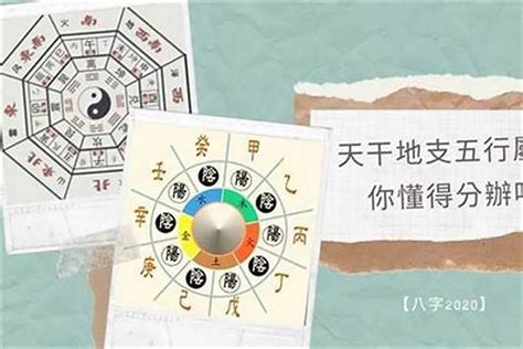 五行算|生辰八字算命、五行喜用神查詢（免費測算）